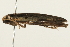  ( - 09TASF-0053)  @12 [ ] CreativeCommons - Attribution (2010) Unspecified Centre for Biodiversity Genomics
