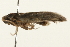  ( - 09TASF-0059)  @12 [ ] CreativeCommons - Attribution (2010) Unspecified Centre for Biodiversity Genomics