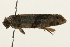  ( - 09TASF-0065)  @12 [ ] CreativeCommons - Attribution (2010) Unspecified Centre for Biodiversity Genomics