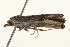  ( - 09TASF-0067)  @12 [ ] CreativeCommons - Attribution (2010) Unspecified Centre for Biodiversity Genomics