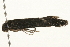  ( - 09TASF-0078)  @12 [ ] CreativeCommons - Attribution (2010) Unspecified Centre for Biodiversity Genomics