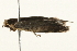  ( - 09TASF-0084)  @12 [ ] CreativeCommons - Attribution (2010) Unspecified Centre for Biodiversity Genomics