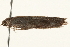  ( - 09TASF-0086)  @12 [ ] CreativeCommons - Attribution (2010) Unspecified Centre for Biodiversity Genomics