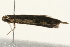  ( - 09TASF-0091)  @12 [ ] CreativeCommons - Attribution (2010) Unspecified Centre for Biodiversity Genomics