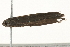  ( - 09TASF-0196)  @12 [ ] CreativeCommons - Attribution (2010) Unspecified Centre for Biodiversity Genomics