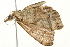  ( - 09TASF-0224)  @12 [ ] CreativeCommons - Attribution (2010) Unspecified Centre for Biodiversity Genomics