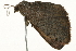  ( - 09TASF-0274)  @12 [ ] CreativeCommons - Attribution (2010) Unspecified Centre for Biodiversity Genomics