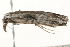  ( - 09TASF-0278)  @13 [ ] CreativeCommons - Attribution (2010) Unspecified Centre for Biodiversity Genomics