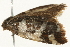  ( - 09TASF-0379)  @13 [ ] CreativeCommons - Attribution (2010) Unspecified Centre for Biodiversity Genomics