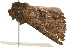  ( - 09TASF-0446)  @12 [ ] CreativeCommons - Attribution (2010) Unspecified Centre for Biodiversity Genomics
