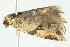  ( - 10-BWLOT-0425)  @12 [ ] CreativeCommons - Attribution (2010) CBG Photography Group Centre for Biodiversity Genomics