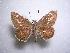  ( - LOWA-AR-113)  @14 [ ] Unspecified (default): All Rights Reserved  Unspecified Unspecified