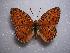 ( - LOWA-AR-53)  @12 [ ] Unspecified (default): All Rights Reserved  Unspecified Unspecified