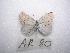  ( - LOWA-AR-80)  @13 [ ] Unspecified (default): All Rights Reserved  Unspecified Unspecified