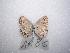  ( - LOWA-AR-86)  @13 [ ] Unspecified (default): All Rights Reserved  Unspecified Unspecified