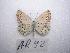  ( - LOWA-AR-92)  @12 [ ] Unspecified (default): All Rights Reserved  Unspecified Unspecified