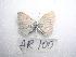  ( - LOWA-AR-100)  @13 [ ] Unspecified (default): All Rights Reserved  Unspecified Unspecified