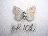  ( - LOWA-AR-102)  @13 [ ] Unspecified (default): All Rights Reserved  Unspecified Unspecified