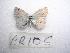  ( - LOWA-AR-106)  @13 [ ] Unspecified (default): All Rights Reserved  Unspecified Unspecified
