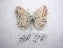  ( - LOWA-AR-116)  @12 [ ] Unspecified (default): All Rights Reserved  Unspecified Unspecified