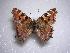 ( - LOWA-NL-2)  @14 [ ] Unspecified (default): All Rights Reserved  Unspecified Unspecified