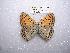  ( - LOWA-NL-29)  @13 [ ] Unspecified (default): All Rights Reserved  Unspecified Unspecified