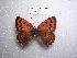  ( - LOWA-NL-30)  @13 [ ] Unspecified (default): All Rights Reserved  Unspecified Unspecified