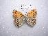  ( - LOWA-NL-30)  @13 [ ] Unspecified (default): All Rights Reserved  Unspecified Unspecified