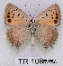  ( - McGuire09-TR108)  @12 [ ] Unspecified (default): All Rights Reserved  Unspecified Unspecified