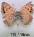  ( - McGuire09-TR115)  @12 [ ] Unspecified (default): All Rights Reserved  Unspecified Unspecified