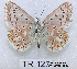  ( - McGuire09-TR127)  @14 [ ] Unspecified (default): All Rights Reserved  Unspecified Unspecified