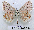 ( - McGuire09-TR128)  @14 [ ] Unspecified (default): All Rights Reserved  Unspecified Unspecified