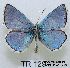  ( - McGuire09-TR128)  @14 [ ] Unspecified (default): All Rights Reserved  Unspecified Unspecified