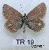  ( - McGuire09-TR19)  @13 [ ] Unspecified (default): All Rights Reserved  Unspecified Unspecified