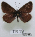  ( - McGuire09-TR19)  @13 [ ] Unspecified (default): All Rights Reserved  Unspecified Unspecified