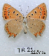  ( - McGuire09-TR21)  @13 [ ] Unspecified (default): All Rights Reserved  Unspecified Unspecified