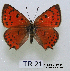  ( - McGuire09-TR21)  @14 [ ] Unspecified (default): All Rights Reserved  Unspecified Unspecified