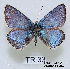  ( - McGuire09-TR33)  @14 [ ] Unspecified (default): All Rights Reserved  Unspecified Unspecified