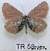  ( - McGuire09-TR50)  @13 [ ] Unspecified (default): All Rights Reserved  Unspecified Unspecified