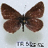  ( - McGuire09-TR50)  @13 [ ] Unspecified (default): All Rights Reserved  Unspecified Unspecified