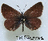  ( - McGuire09-TR52)  @13 [ ] Unspecified (default): All Rights Reserved  Unspecified Unspecified