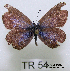  ( - McGuire09-TR54)  @13 [ ] Unspecified (default): All Rights Reserved  Unspecified Unspecified