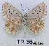  ( - McGuire09-TR66)  @14 [ ] Unspecified (default): All Rights Reserved  Unspecified Unspecified