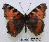  ( - McGuire09-TR68)  @13 [ ] Unspecified (default): All Rights Reserved  Unspecified Unspecified