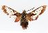  ( - CGWC-3961)  @13 [ ] CreativeCommons - Attribution (2010) Unspecified Centre for Biodiversity Genomics