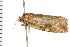  ( - 08BBLEP-02245)  @12 [ ] CreativeCommons - Attribution (2008) Unspecified Centre for Biodiversity Genomics