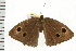  ( - 08BBLEP-02620)  @13 [ ] CreativeCommons - Attribution (2008) Unspecified Centre for Biodiversity Genomics