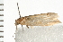  ( - 08BBLEP-02863)  @12 [ ] CreativeCommons - Attribution (2008) Unspecified Centre for Biodiversity Genomics