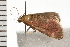  ( - 08BBLEP-02867)  @12 [ ] CreativeCommons - Attribution (2008) Unspecified Centre for Biodiversity Genomics