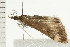  ( - 08BBLEP-02893)  @12 [ ] CreativeCommons - Attribution (2008) Unspecified Centre for Biodiversity Genomics